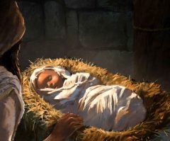 The first Christmas: God's sovereignty and man's free will
