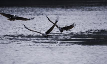 The storms that are necessary to lift us higher