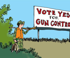 Gun control or crime control?