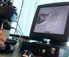 Gay couple sues IVF fertility clinic over female embryo 'error' after requesting boys