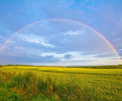 Revelation 4: The destruction of our planet and an emerald rainbow