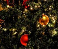 Massachusetts library to display Christmas trees after backlash, claims 'there is no ban on Christmas'