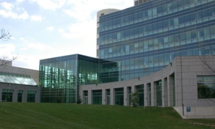 NIH experiment ends with 2 suicides by trans-identifying youth 