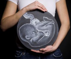 Population decline, artificial wombs and brain-dead surrogate mothers