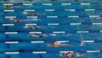 World Aquatics to establish ‘open’ category for trans swimmers to promote 'fair competition'