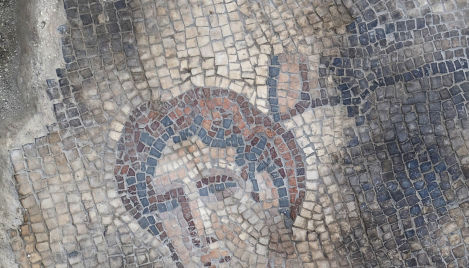 Archeologists uncover mosaic depicting biblical Samson at ancient Israeli synagogue 