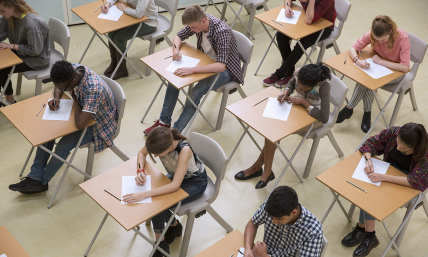 Don't go to college because it 'makes you stupid?'