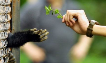 Darwinizing the universe: A theory that explains everything explains nothing