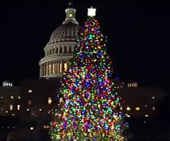 US Capitol Christmas Tree guidelines no longer ban religious ornaments, Christian group says