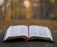Young Brits open to banning the Bible over perceived 'hate speech'