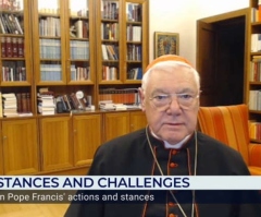 Jesus would 'go to prison' today for affirming man and woman, traditional marriage: Cardinal