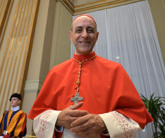 Cardinal behind Vatican's same-sex blessing expresses regret for writing erotic story about Jesus, teenage girl