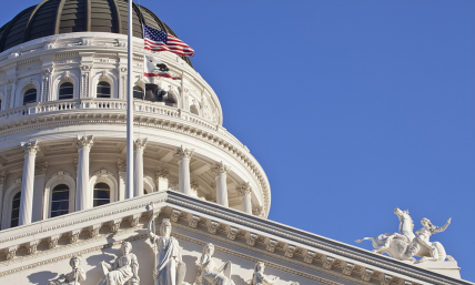 The Red State v. Blue State war over trans-ing kids and why California is pivotal