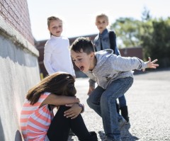 Schoolyard bullying 101: It's working on the Church