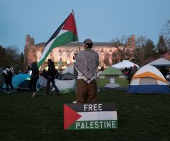 What American college protestors miss regarding Gaza, the Palestinian question
