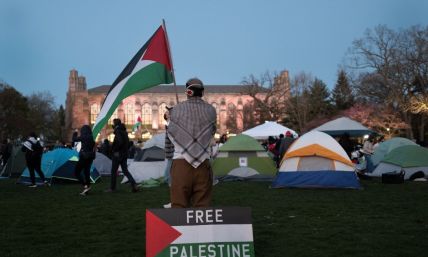 What American college protestors miss regarding Gaza, the Palestinian question