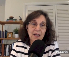 Rosaria Butterfield gives advice for witnessing to gay friends, advises against celibacy