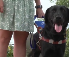 Blind woman denied entry into church because of guide dog