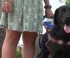 Blind woman denied entry into church because of guide dog
