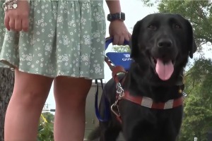 Blind woman denied entry into church because of guide dog