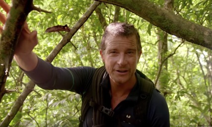 Bear Grylls claims 'a privilege' to support Russell Brand's new Christian faith despite assault allegations