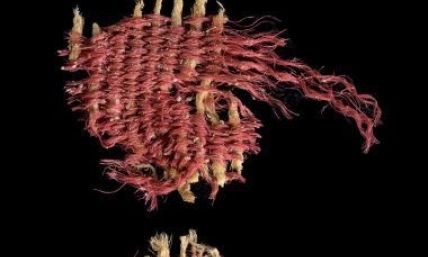 Archaeologists find evidence of 'scarlet worm' red dye mentioned in the Bible 