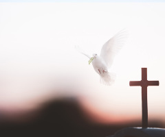 7 reasons you need the Holy Spirit