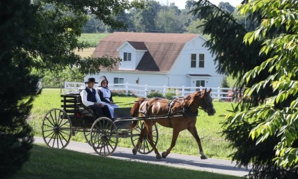 Mail-in voting may lead Amish to become deciding force in the 2024 election: GOP activist