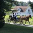 Mail-in voting may lead Amish to become deciding force in the 2024 election: GOP activist