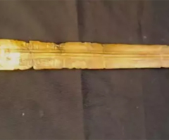 Archeologists discover fortress, sword possibly from Pharaoh linked to Exodus 