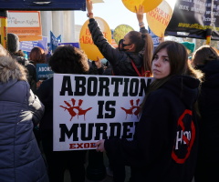 Why result of 2024 election offers opportunities for pro-lifers