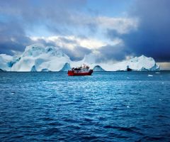 Should Trump try to buy Greenland? Land with dark birth control history 