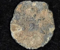 American tourist discovers rare ancient Jewish coin from Hasmonean period in Shiloh, Samaria