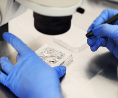 3 simple principles for Christians who want IVF treatment