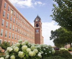 NH university system restores article by student who opposes having pronouns in byline