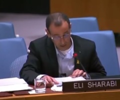 'I’ve come back from Hell': Released Israeli hostage shares his experience with UN Security Council