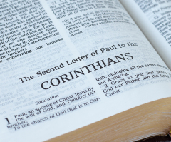 More men turning to the Bible across every generation: study