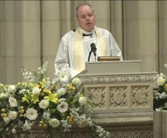 Episcopal Church ends partnership with US gov’t over white Afrikaners resettlement dispute