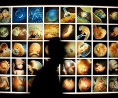 Democrats quietly worry they've gone too far on abortion