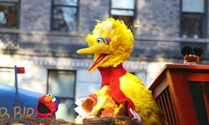 President Trump grounded Big Bird. And that's a good thing