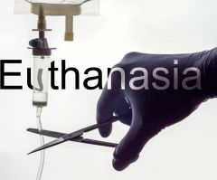 New Zealand sees euthanasia, assisted suicide rates climb 37%