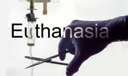 New Zealand sees euthanasia, assisted suicide rates climb 37%