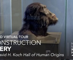 Smithsonian 'obscuring' new study finding greater gap between humans, apes than previously thought: Geologist