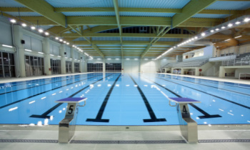 ELCA-affiliated college accused of allowing male swimmer to join women's team