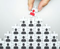 The CEO identity crisis: The key fault line