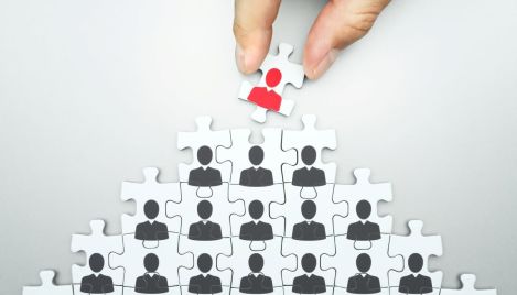 The CEO identity crisis: The key fault line