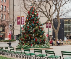 Travel: Festive Chicago confronts a difficult season