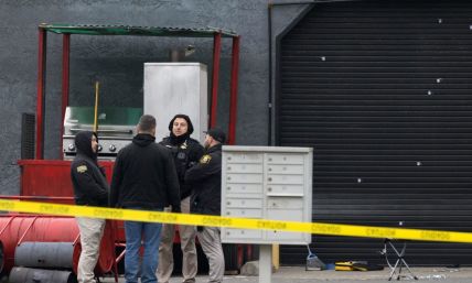 4 killed, several wounded at family gathering in California