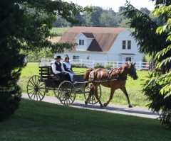 Supreme Court revives Amish challenge to New York student vaccination requirement