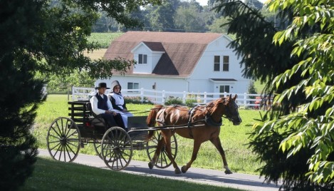 Supreme Court revives Amish challenge to New York student vaccination requirement